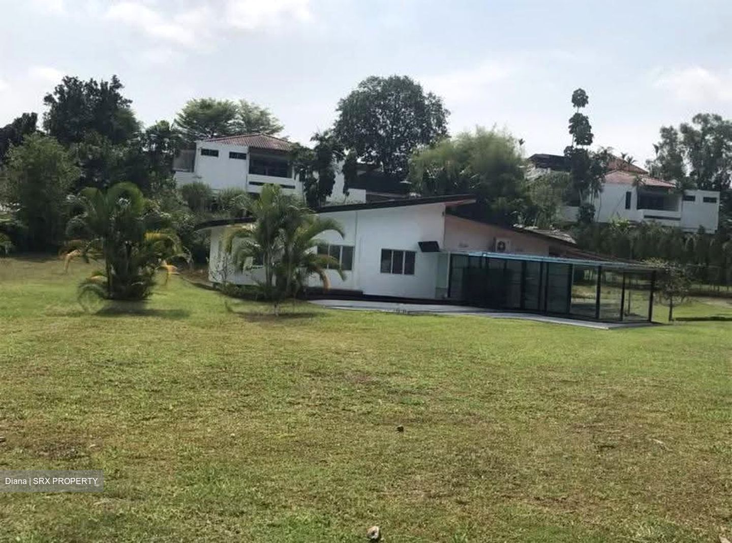 Windsor Park (D20), Detached #610349711